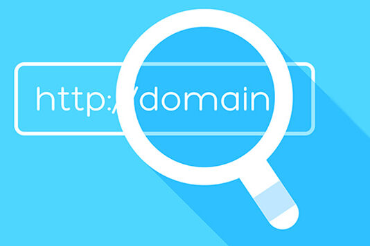 Searching for a domain name