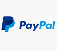 PayPal Ecommerce Payment Tool PayPal Ecommerce payment tool logo